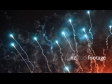 Fireworks 1 2276